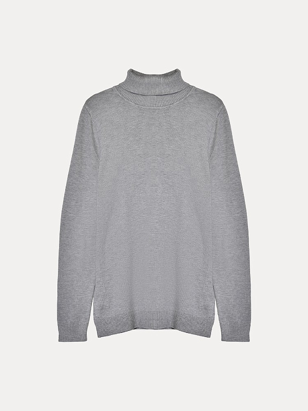 Водолазка мужская (V2418) 